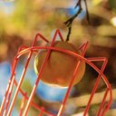 Ver mais imagens de Kit Colhedor de Frutas Tramontina Pequeno 77819121 + Cabo Metálico Extensível 5 M Tramontina