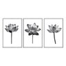 Kit 3 Quadros Decorativos 60x80cm Canvas Flor de Lotus Preto e Branco Minimalista Flnt005 - 1