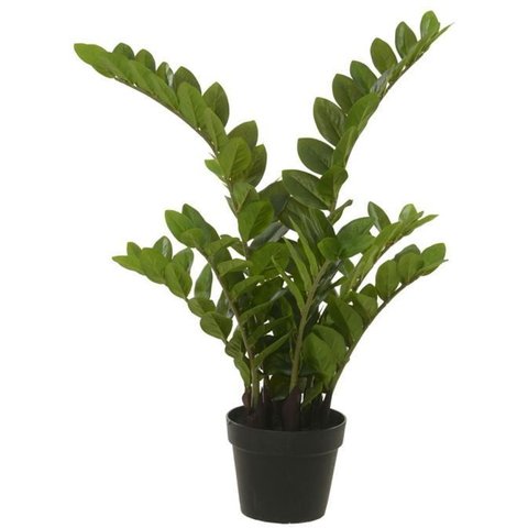 Planta Artificial Arvore Zamioculca Real Toque C/pote X132 Verde 75cm