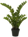 Ver imagem 1 de Planta Artificial Arvore Zamioculca Real Toque C/pote X132 Verde 75cm