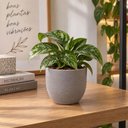 Ver imagem 3 de Vasinho Plantas Tramontina Laos Plástico Cor Concreto 15,5cm