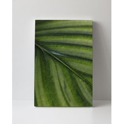 Tela em Canvas 093 - 1