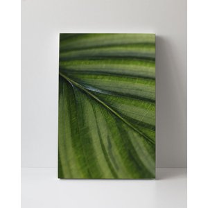 Tela em Canvas 093