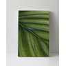 Tela em Canvas 093 - 1