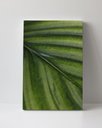 Ver imagem 1 de Tela em Canvas 093