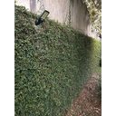 Ver imagem 4 de Luminária Solar Sensor e Controle Remoto Mini Street