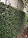 Ver imagem 4 de Luminária Solar Sensor e Controle Remoto Mini Street