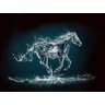 Papel De Parede Animais Cavalo Arte Água 3D Anm101 3M² - 2