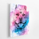 Ver imagem 2 de Quadro Cachorro Pitbull Aquarela Tinta Canvas 30x40cm