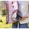 MOCHILA ROSA PET BOLSA TRANSPORTE CAO GATO CACHORRO ASTRONAUTA TRANSPARENTE - 5