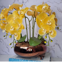 Ver imagem 1 de Arranjo Com 4 Orquídeas Amarela Vaso Cobre 28cm