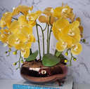 Ver imagem 1 de Arranjo Com 4 Orquídeas Amarela Vaso Cobre 28cm