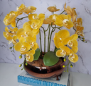 Ver imagem 3 de Arranjo Com 4 Orquídeas Amarela Vaso Cobre 28cm