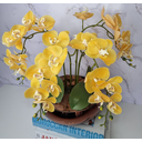 Ver imagem 2 de Arranjo Com 4 Orquídeas Amarela Vaso Cobre 28cm