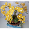 Arranjo Com 4 Orquídeas Amarela Vaso Cobre 28cm - 2