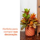 Ver imagem 4 de Vaso Maragogi Terracota 30 Terrano