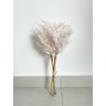 Ramalhete Folhagem Seca 37cm Planta Artificial Único - 1