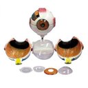 Ver imagem 2 de Olho Ampliado 6x Tam. em 8 Partes