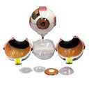 Ver imagem 1 de Olho Ampliado 6x Tam. em 8 Partes