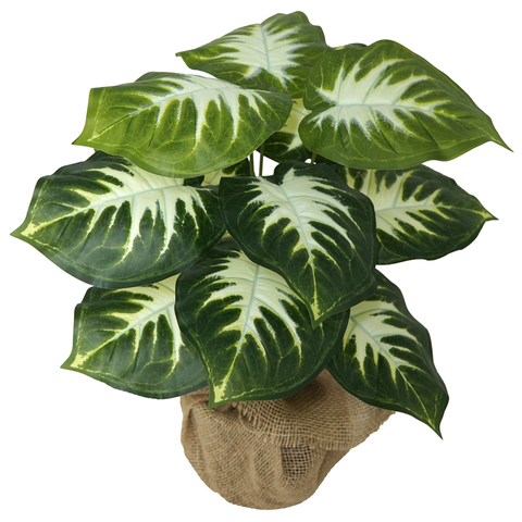 Planta Artificial Folhagem Comigo Ninguém Pode 53cm 12 Folhas