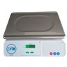 Balança Bancada Toledo 9094 PLus com Bateria e Conversor Serial Toledo Original - 15Kg Divisão 2g/5g - 6