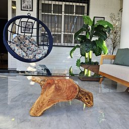 Mesa de Centro Tronco Santo Biofílico com Madeira Maciça de Cinamomo - 5