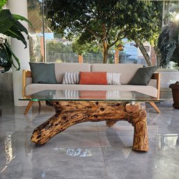 Mesa de Centro Tronco Santo Biofílico com Madeira Maciça de Cinamomo - 2