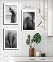 Ver imagem 1 de Quadros Placas mdf 6mm sala quarto elefante 3 un 29x20