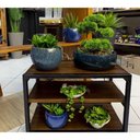 Ver imagem 3 de Banco Sapateira Ferro E Madeira Organizar Sapatos Imbuia