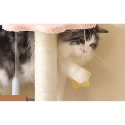 Arranhador Para Gatos Árvore de Gatos Pet Multi Níveis Casinha Brinquedo Pet Genuinos Arranhador Pet - 5