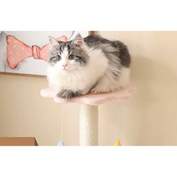 Arranhador Para Gatos Árvore de Gatos Pet Multi Níveis Casinha Brinquedo Pet Genuinos Arranhador Pet - 3