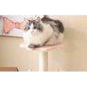 Arranhador Para Gatos Árvore de Gatos Pet Multi Níveis Casinha Brinquedo Pet Genuinos Arranhador Pet - 3