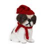 Figura Natalina Mini Shih-tzu de Resina Bravadecor - 2