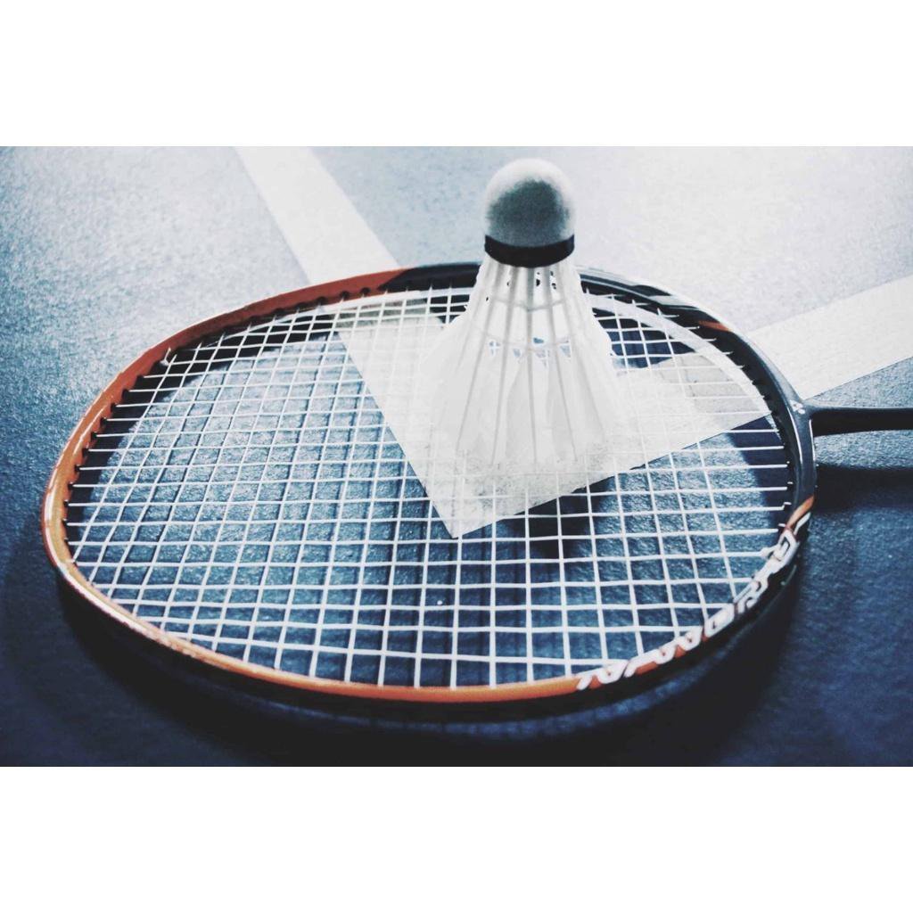 Kit Raquetes Badminton Completo Bolas Petecas Bolsa - 6