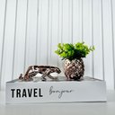 Ver imagem 3 de Decoração Livro Fake, Vaso Cachepô Rose e Enfeite Pantera