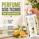 Ver imagem 7 de Dani Fernandes Kit 2 Águas Perfumadas Verbena Limão Siciliano 510ml para Tecidos