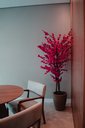 Ver imagem 1 de Arvore Artificial Pessegueira Pink Tronco Natural