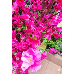 Arvore Artificial Pessegueira Pink Tronco Natural - 5