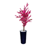 Arvore Artificial Pessegueira Pink Tronco Natural - 3