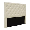 Ver imagem 1 de Cabeceira Estofada Casal Tàzio MDF-MDP Veludo Bege 140cm Gran Belo