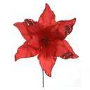 Ver imagem 1 de Haste Flor de Natal Bico de Papagaio Aveludado C/ Glitter Vermelho 30cm