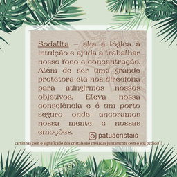 Porta Vela Sodalita Bruta - 3