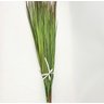 Capim Verde Folhagem 112cm Planta Artificial Maço Kit - 4