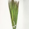 Capim Verde Folhagem 112cm Planta Artificial Maço Kit - 6