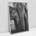 Ver imagem 4 de Quadro Decorativo Família Elefante em tela Canvas TaColado Moldura Flutuante 4,5cm Freijó 120 x 80cm