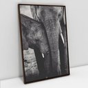 Ver imagem 5 de Quadro Decorativo Família Elefante em tela Canvas TaColado Moldura Flutuante 4,5cm Freijó 120 x 80cm