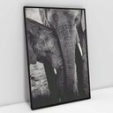 Ver imagem 3 de Quadro Decorativo Família Elefante em tela Canvas TaColado Moldura Flutuante 4,5cm Freijó 120 x 80cm