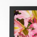 Ver imagem 2 de Quadro Açucena Lilium Candidum Flor Moldura Preta 60x40cm
