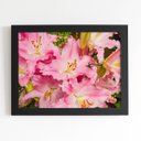 Ver imagem 1 de Quadro Açucena Lilium Candidum Flor Moldura Preta 60x40cm