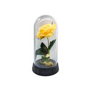 Ver imagem 1 de Redoma a Rosa Encantada o Girassol Encantado 19 Cm de Altura - Rosa Amarela